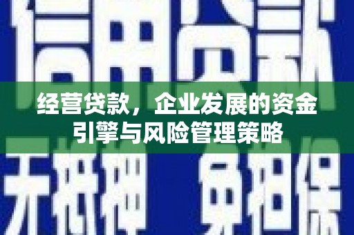 竹崎经营贷款，企业发展的资金引擎与风险管理策略