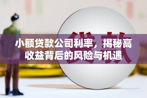 竹崎小额贷款公司利率，揭秘高收益背后的风险与机遇