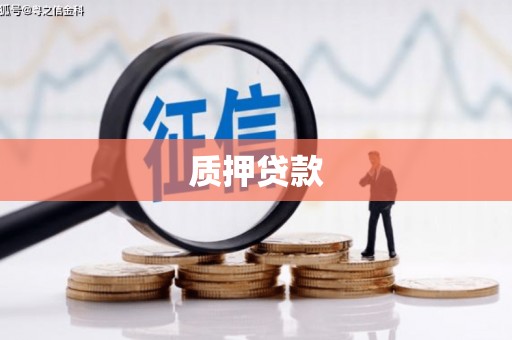 竹崎质押贷款