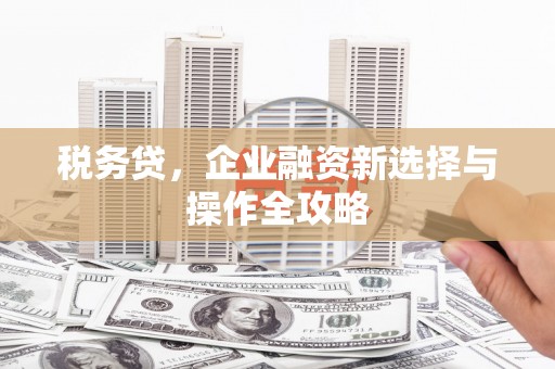 竹崎税务贷，企业融资新选择与操作全攻略