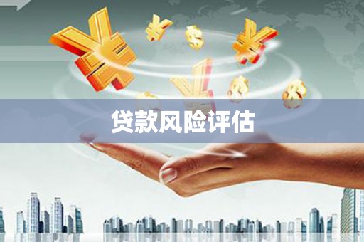 竹崎贷款风险评估