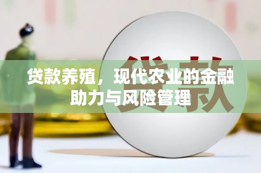 竹崎贷款养殖，现代农业的金融助力与风险管理