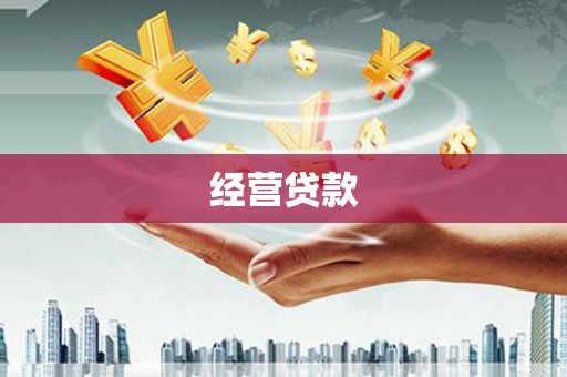 竹崎经营贷款