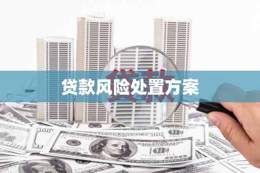 竹崎贷款风险处置方案