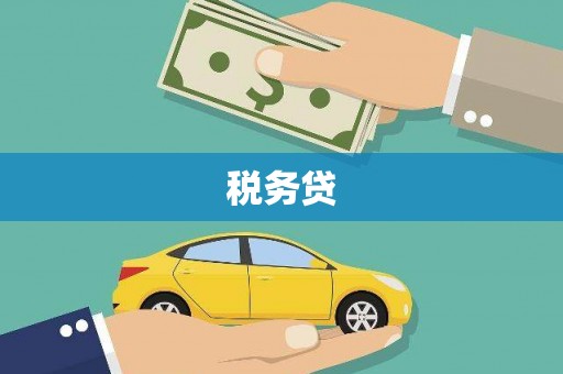 竹崎税务贷