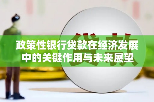 竹崎政策性银行贷款在经济发展中的关键作用与未来展望