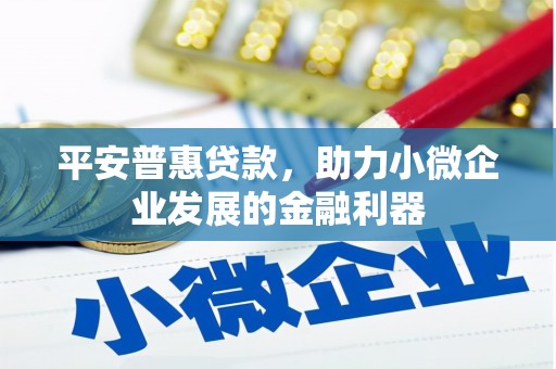 竹崎平安普惠贷款，助力小微企业发展的金融利器