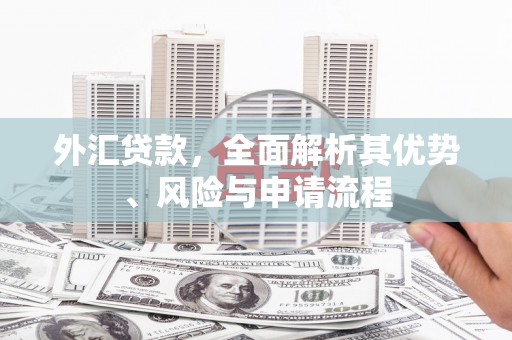 竹崎外汇贷款，全面解析其优势、风险与申请流程
