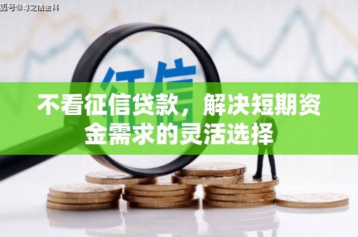 竹崎不看征信贷款，解决短期资金需求的灵活选择