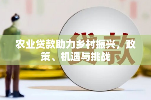 竹崎农业贷款助力乡村振兴，政策、机遇与挑战
