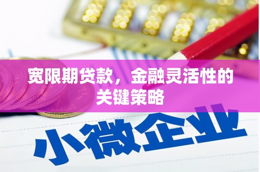 竹崎宽限期贷款，金融灵活性的关键策略