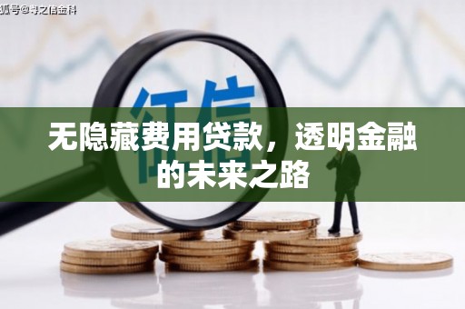 竹崎无隐藏费用贷款，透明金融的未来之路