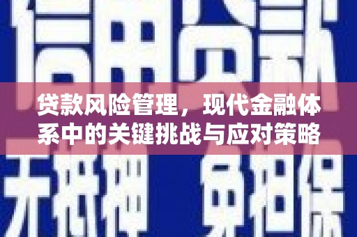 竹崎贷款风险管理，现代金融体系中的关键挑战与应对策略