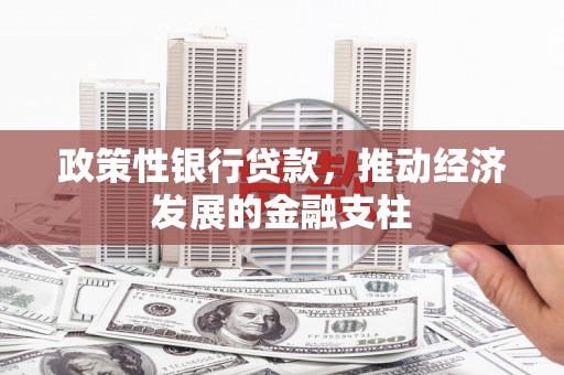 竹崎政策性银行贷款，推动经济发展的金融支柱