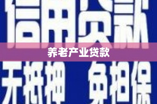 竹崎养老产业贷款