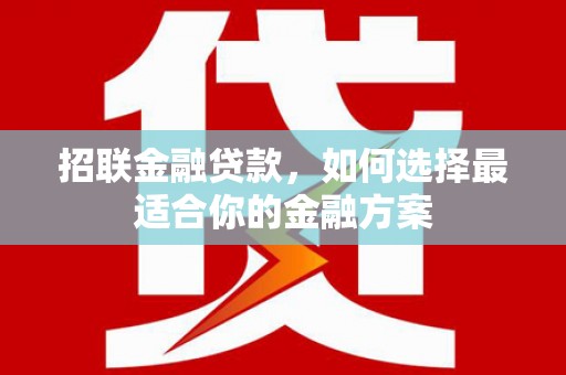 竹崎招联金融贷款，如何选择最适合你的金融方案