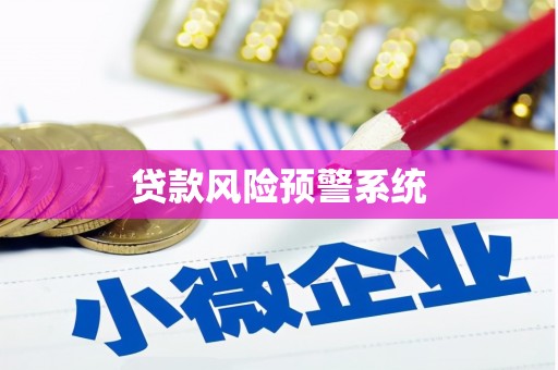 竹崎贷款风险预警系统