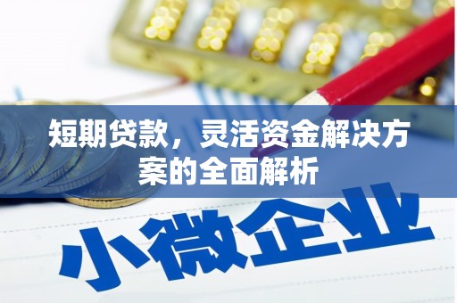 竹崎短期贷款，灵活资金解决方案的全面解析