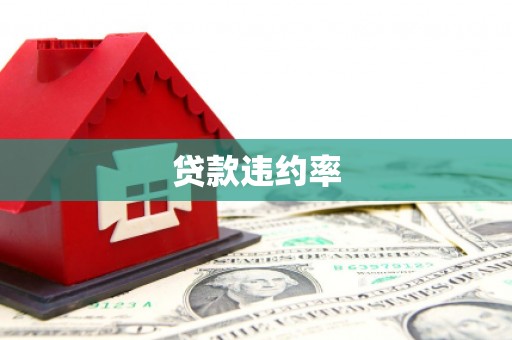 竹崎贷款违约率