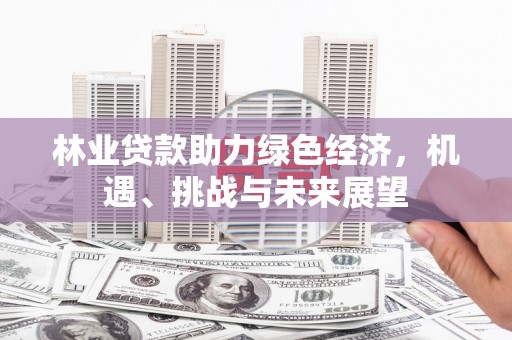 竹崎林业贷款助力绿色经济，机遇、挑战与未来展望
