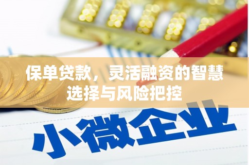 竹崎保单贷款，灵活融资的智慧选择与风险把控