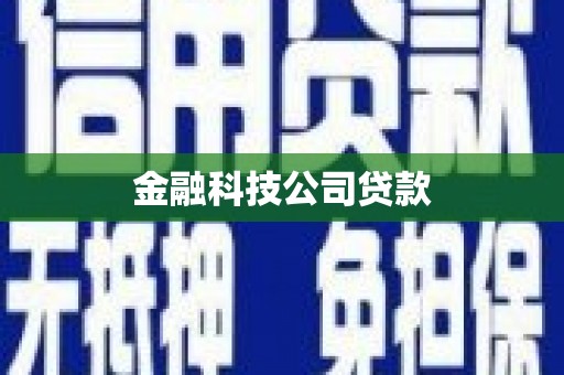 竹崎金融科技公司贷款