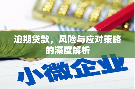 竹崎逾期贷款，风险与应对策略的深度解析