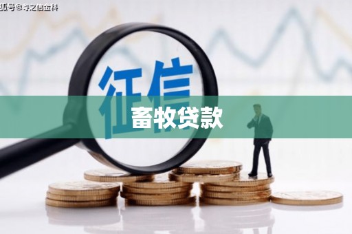 竹崎畜牧贷款