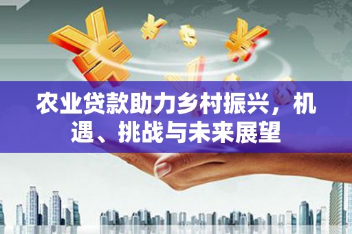 竹崎农业贷款助力乡村振兴，机遇、挑战与未来展望