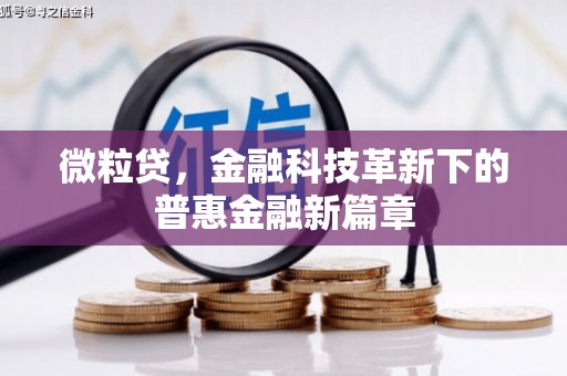 竹崎微粒贷，金融科技革新下的普惠金融新篇章