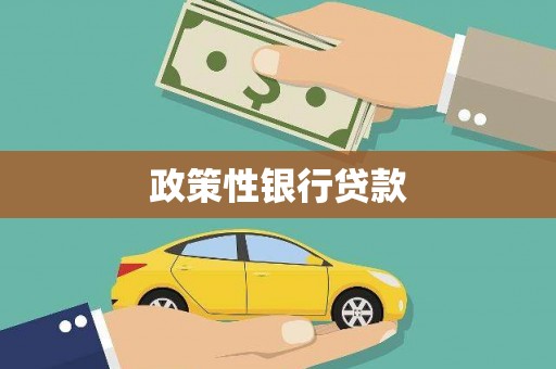 竹崎政策性银行贷款