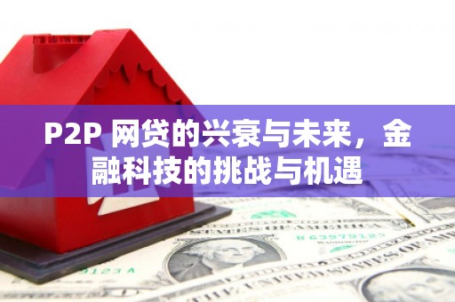 竹崎P2P 网贷的兴衰与未来，金融科技的挑战与机遇