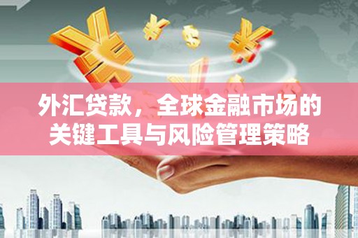 竹崎外汇贷款，全球金融市场的关键工具与风险管理策略