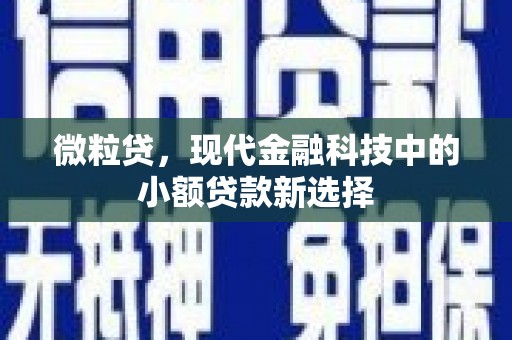 竹崎微粒贷，现代金融科技中的小额贷款新选择
