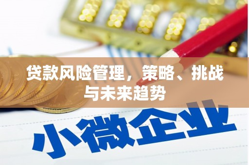 竹崎贷款风险管理，策略、挑战与未来趋势