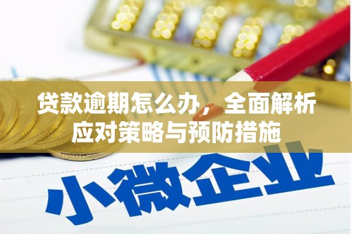 竹崎贷款逾期怎么办，全面解析应对策略与预防措施
