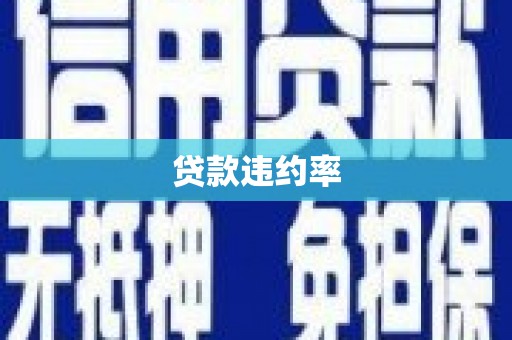 竹崎贷款违约率