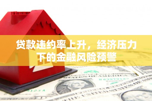 竹崎贷款违约率上升，经济压力下的金融风险预警