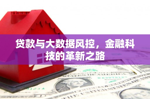竹崎贷款与大数据风控，金融科技的革新之路
