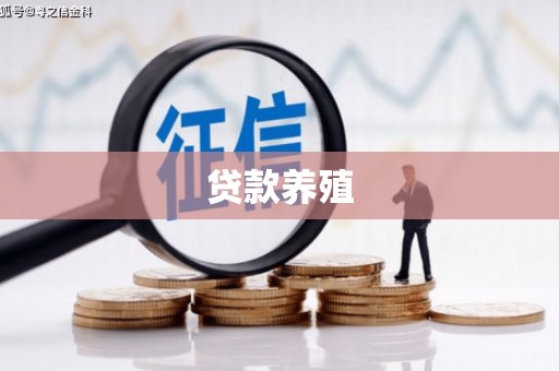 竹崎贷款养殖