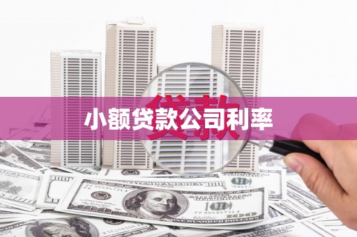 竹崎小额贷款公司利率