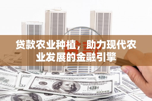 竹崎贷款农业种植，助力现代农业发展的金融引擎