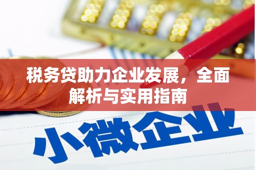 竹崎税务贷助力企业发展，全面解析与实用指南