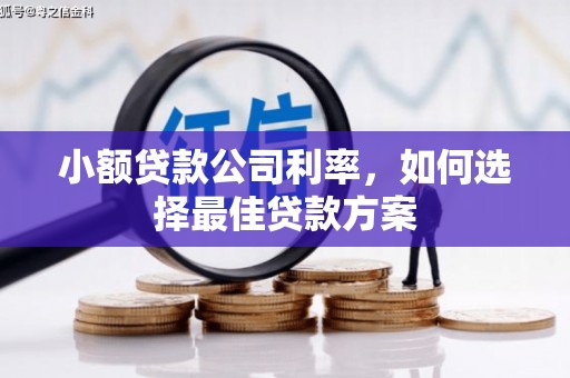 竹崎小额贷款公司利率，如何选择最佳贷款方案