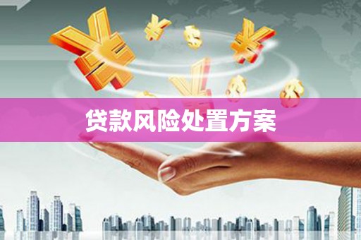 竹崎贷款风险处置方案