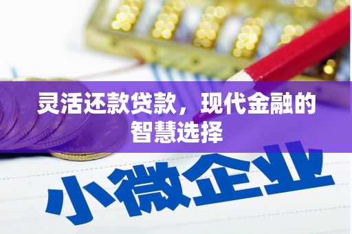 竹崎灵活还款贷款，现代金融的智慧选择