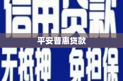 竹崎平安普惠贷款