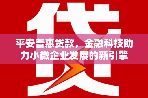 竹崎平安普惠贷款，金融科技助力小微企业发展的新引擎