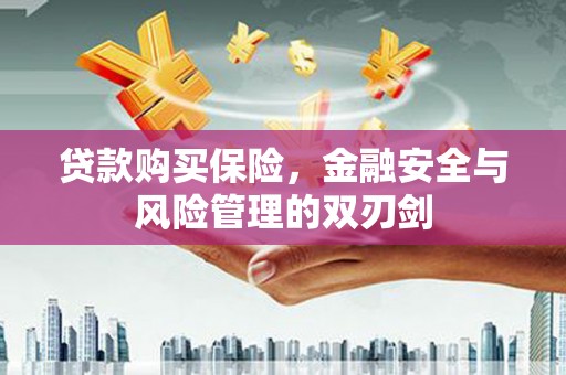 竹崎贷款购买保险，金融安全与风险管理的双刃剑