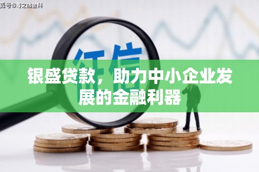 竹崎银盛贷款，助力中小企业发展的金融利器